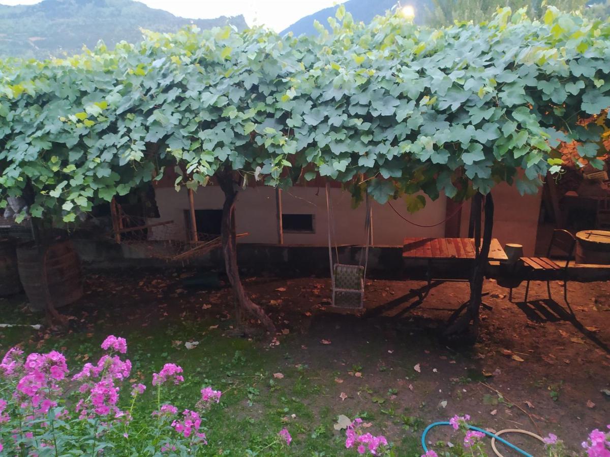 Guest House Nene ميستيا المظهر الخارجي الصورة
