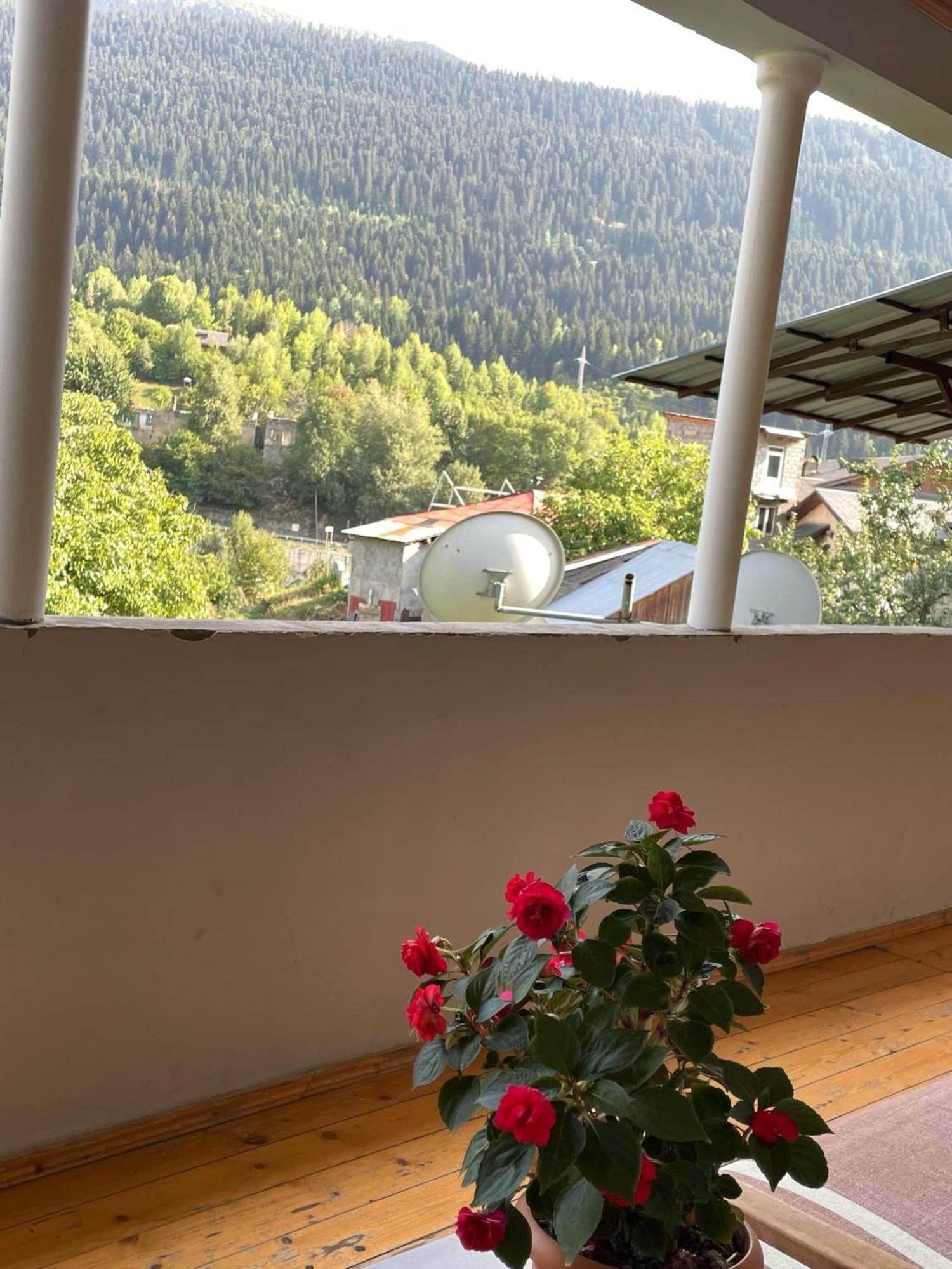 Guest House Nene ميستيا المظهر الخارجي الصورة